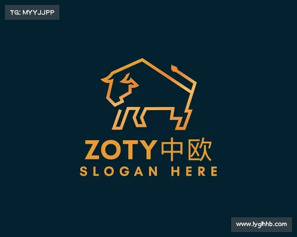 解读zoty中欧